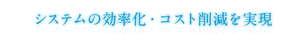 VXěERXg팸